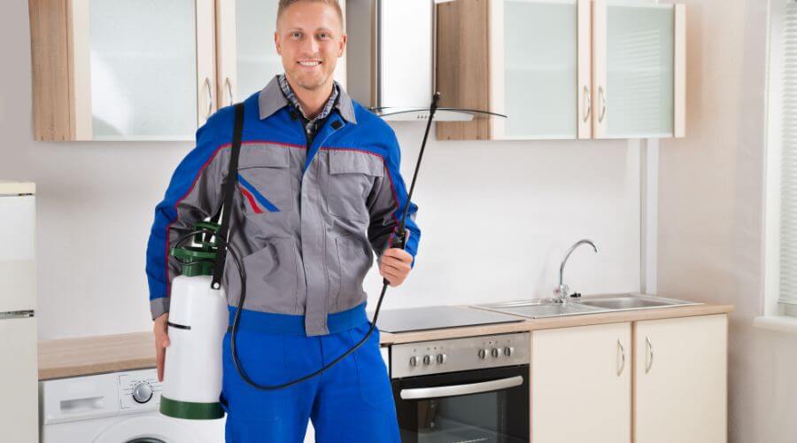 Professional termite exterminator services in Tampa - Termite Exterminator Tampa