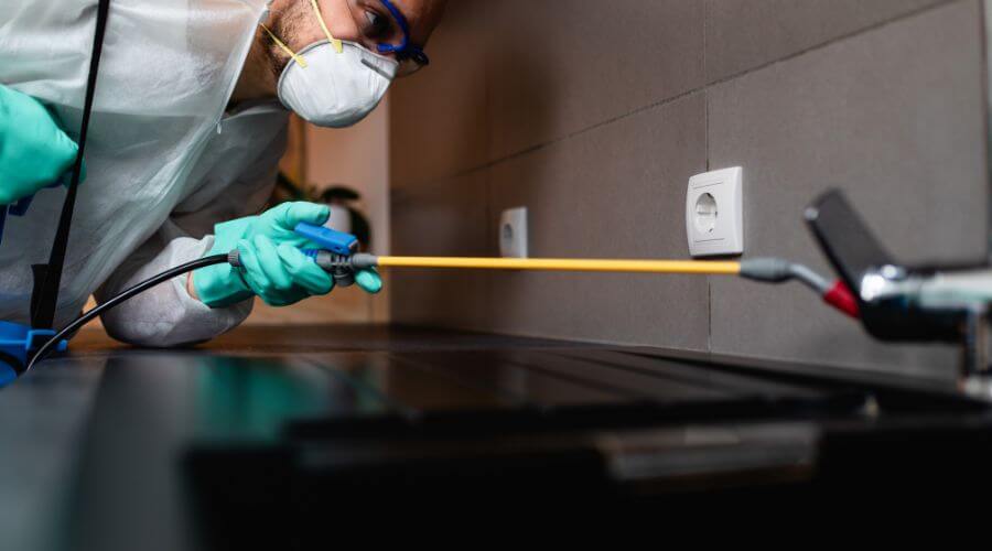 Why choose Termite Exterminator Tampa for termite exterminator in Tampa