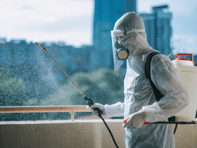 About Termite Inspection & Termite Treatment Tampa FL - termite treatment experts in Tampa